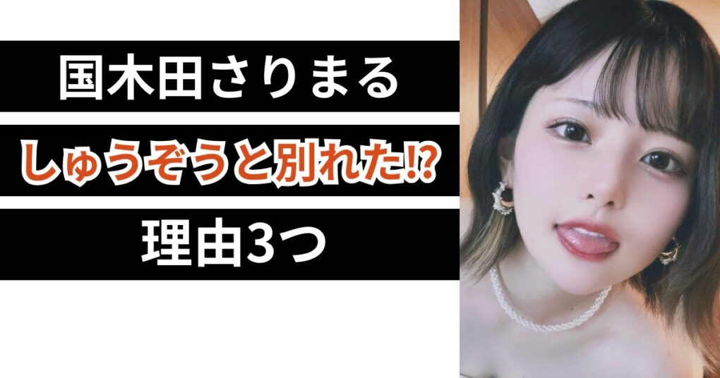 さりまるとしゅうぞうが別れたと言われる理由3つ！喧嘩の末離婚？